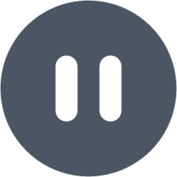 Pause icon